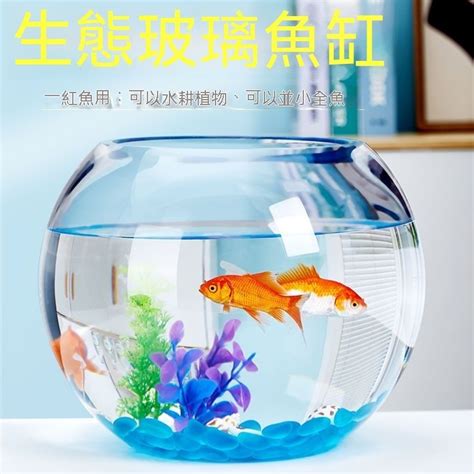 圓形缸 養魚